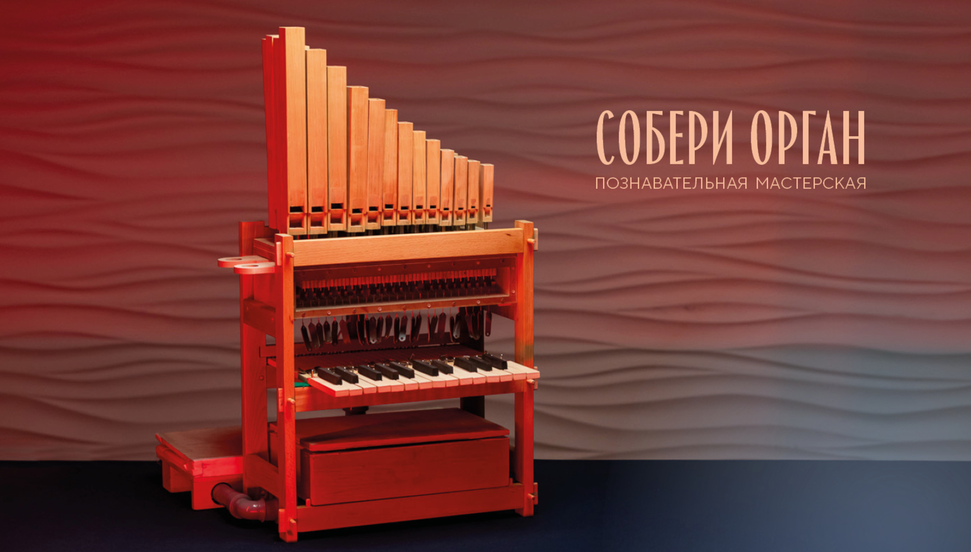 Собери орган. Познавательная мастерская