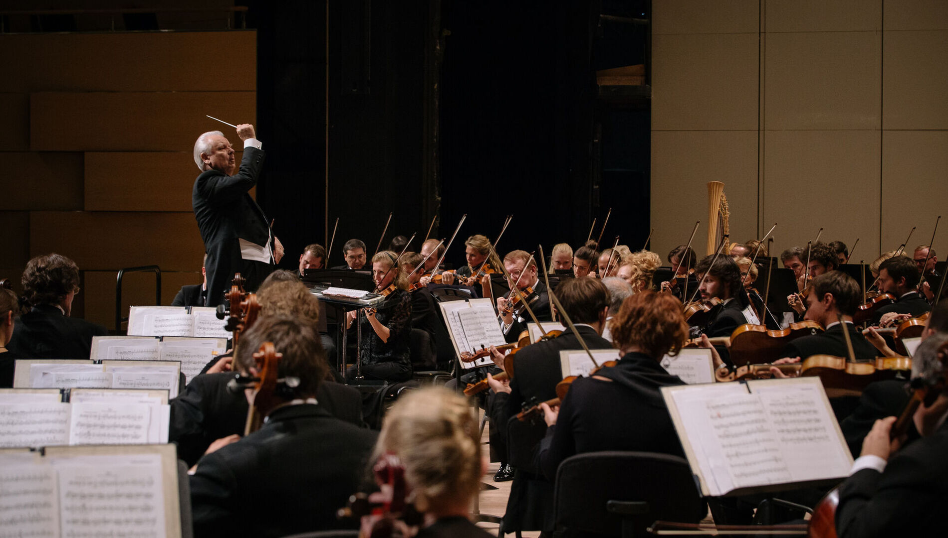 Оркестр Московской филармонии,
Штефан Владар