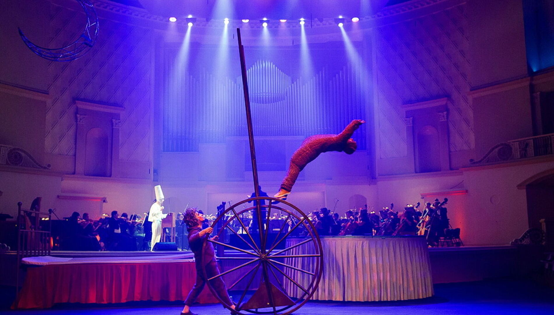 Новогодняя сказка для Ёжика с оркестром